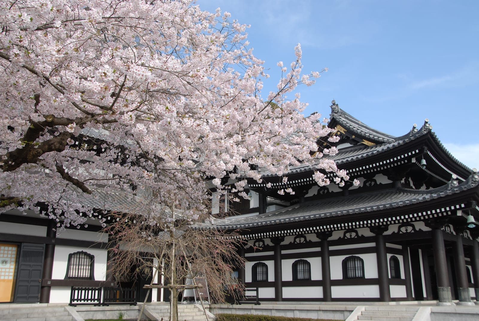 하세데라 사진