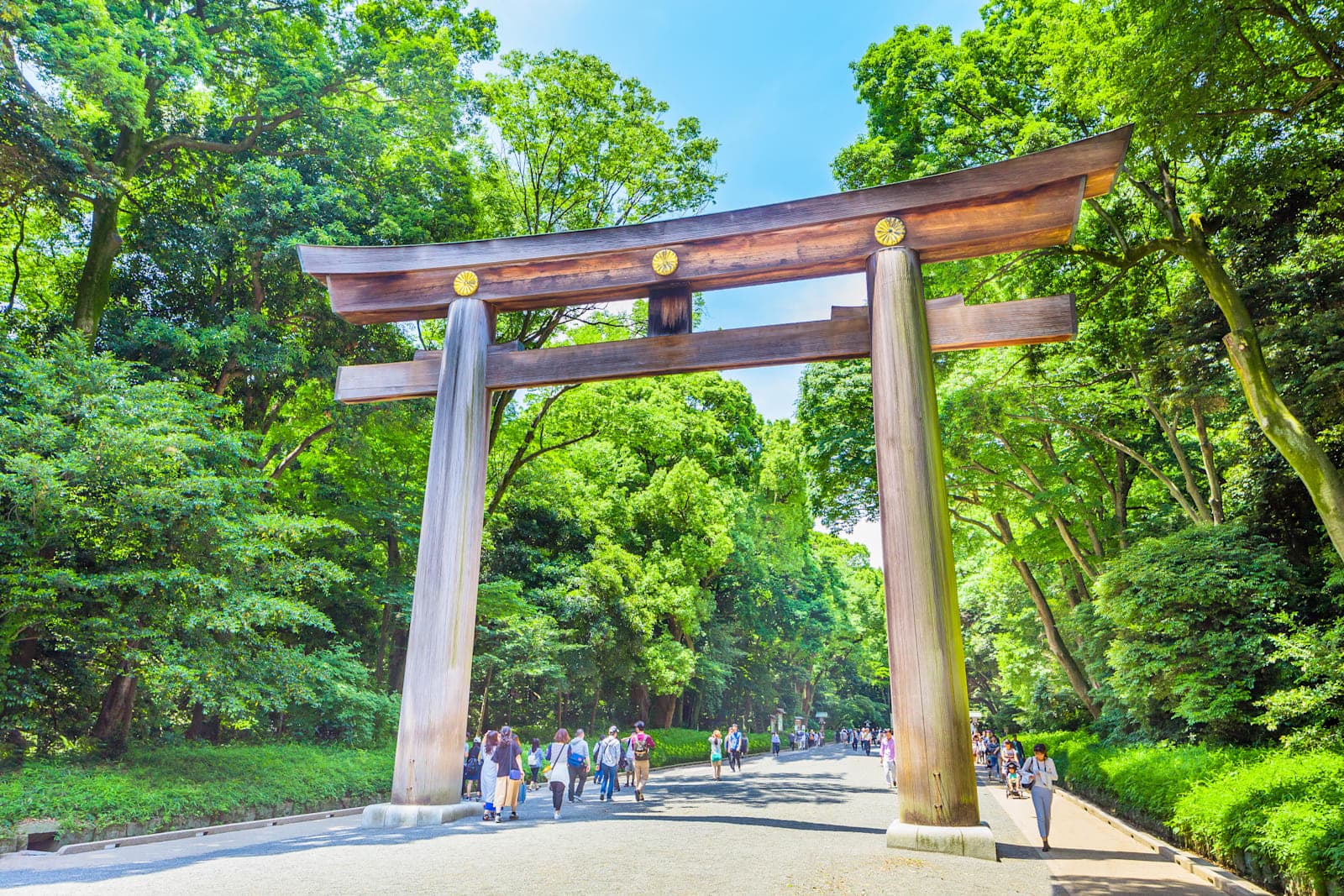 L'allée forestière du Meiji Jingu