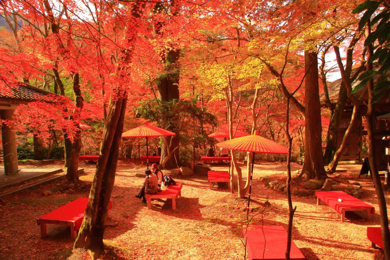 Photo : Le parc Zuihoji en automne