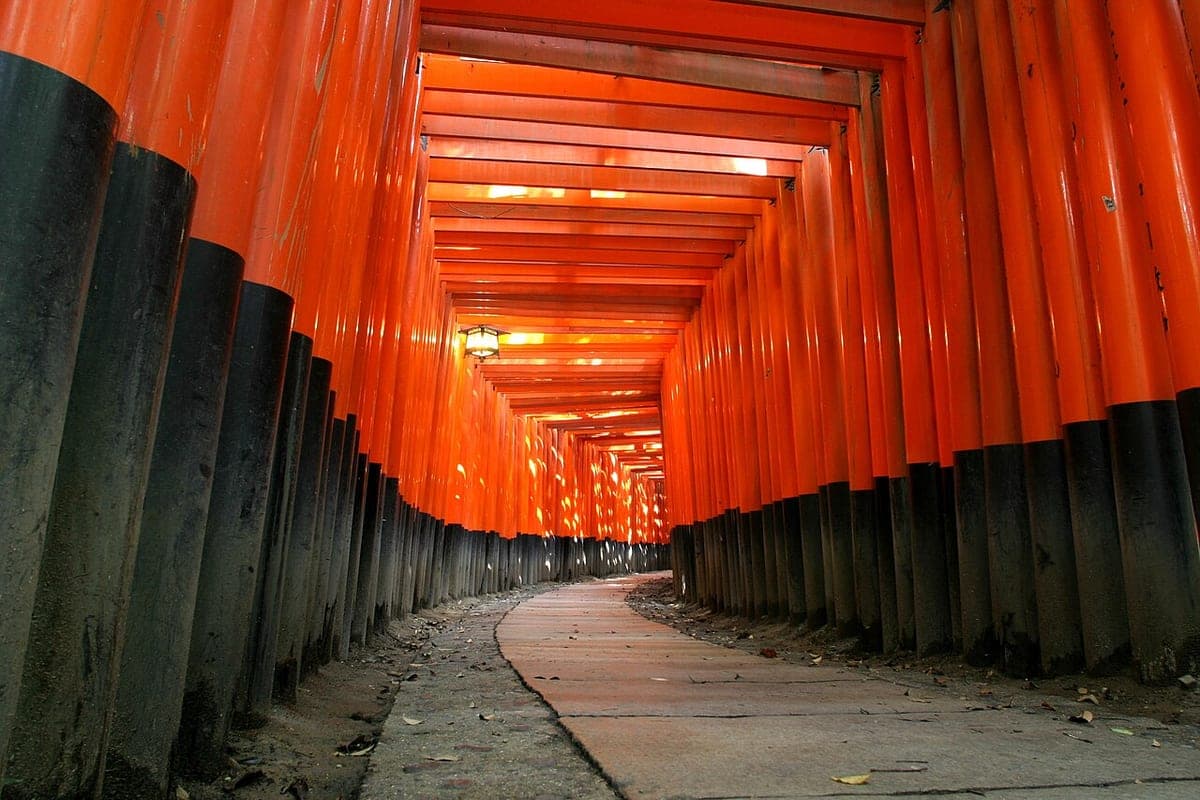 El túnel de torii bermellón que asciende la colina en Fushimi Inari Taisha